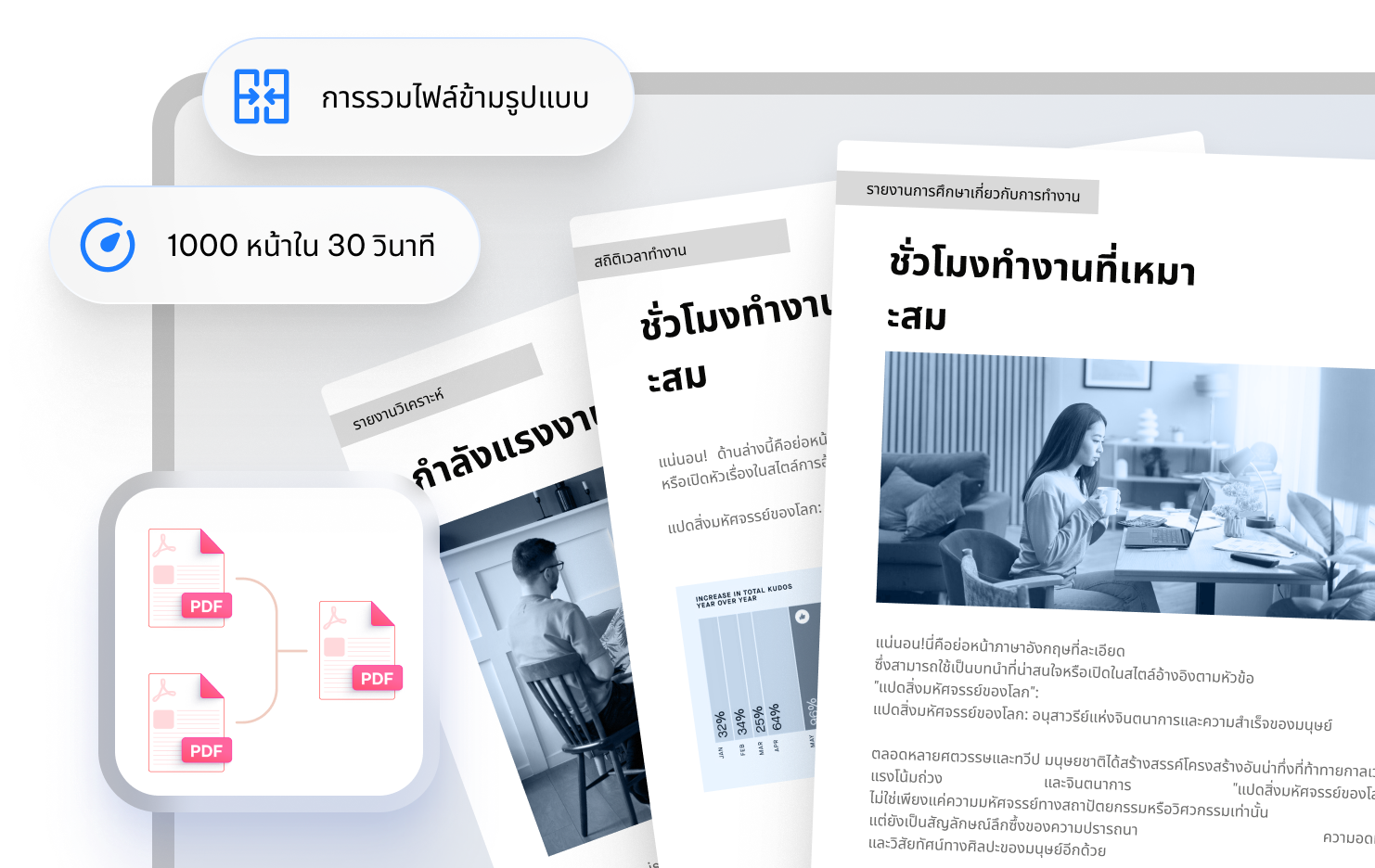 ภาพรวมไฟล์ pdf